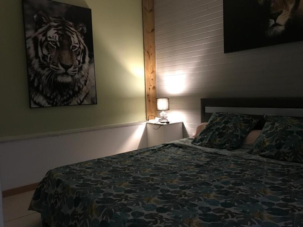 Nicole Residence Avec Piscine Chauffee & Jacuzzi Saint-Andre Εξωτερικό φωτογραφία