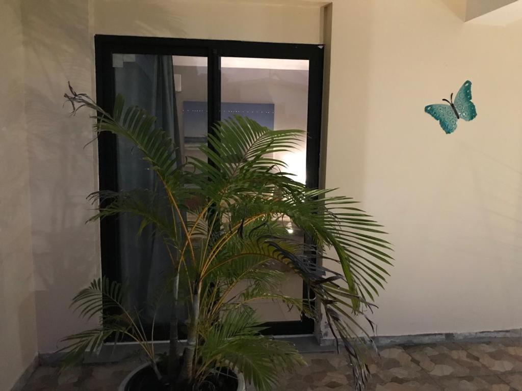 Nicole Residence Avec Piscine Chauffee & Jacuzzi Saint-Andre Εξωτερικό φωτογραφία