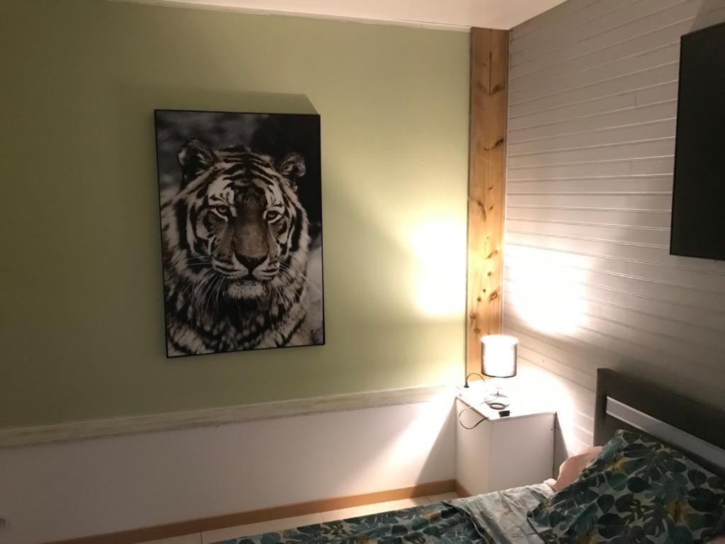 Nicole Residence Avec Piscine Chauffee & Jacuzzi Saint-Andre Εξωτερικό φωτογραφία